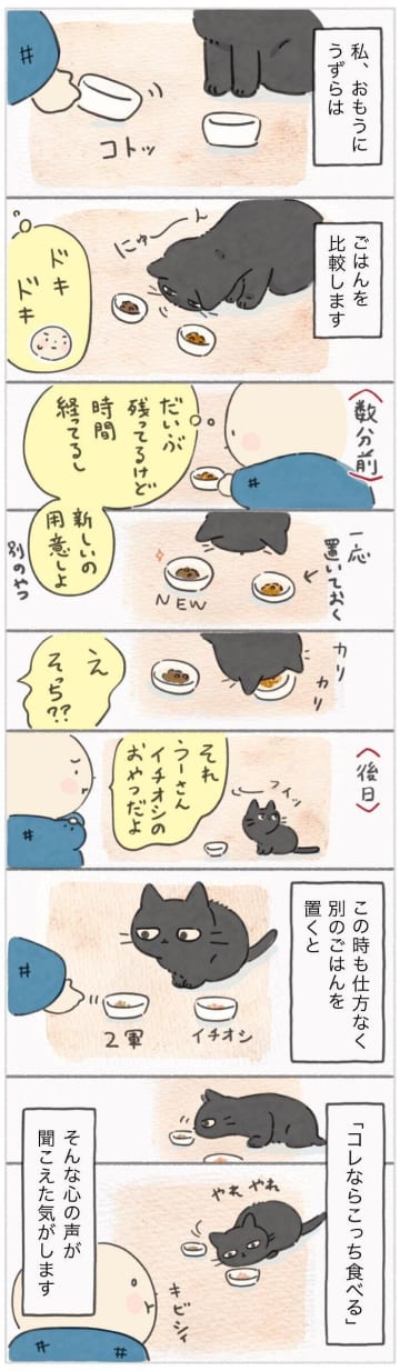 今日はどっち？真顔で吟味する“食通猫”の判定【連載】ねこ連れ草 347話め