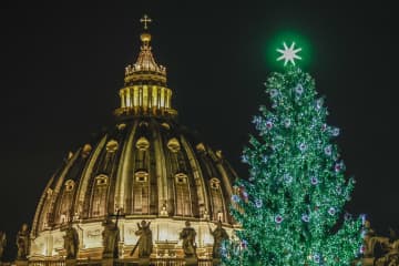 バチカン恒例のツリー点灯　高さ25メートル、広場に歓声