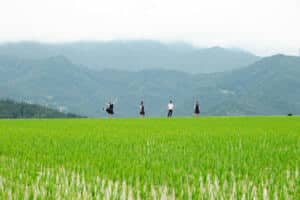 【高知県嶺北】「先生」ではない。求む、迷いながら共に歩く人。廃校寸前の高校をV字回復させたチームが募集する、教育と暮らしの「余白」をデザインする仕事。