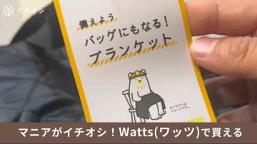 【ワッツ天才！】990円「バッグにもなる!ブランケット」は災害対策にも◎荷物の収納も防寒もこれ1つでお任せ！