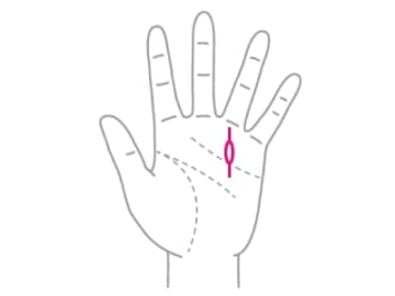 笑顔を忘れずにいれば『これから良くなる太陽線』とは！？【手相の教科書】