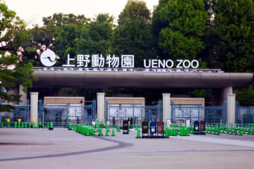 パンダがいなくなっても日本人は気にしない？―台湾メディア