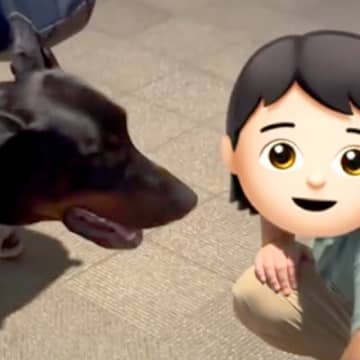 大型犬３匹の散歩中『犬が好きな男の子』に会った結果→２か月後、お母さんから連絡が来て…心温まる『素敵な物語』に「本当の犬好き！」と反響