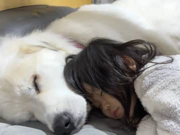 ３歳の娘と４歳の愛犬、お昼寝姿がまるで？　「かわいすぎて泣ける」「素敵な関係」