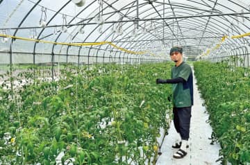 農業を仕事にする in 中国エリア|【鳥取県日南町】田舎のよさを再認識してUターン。町の特産を支えるトマト農家に