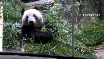 上野のパンダ「1分ルール」に長蛇の列　50年超ぶり「パンダゼロ」に…和歌山では“ひと工夫”