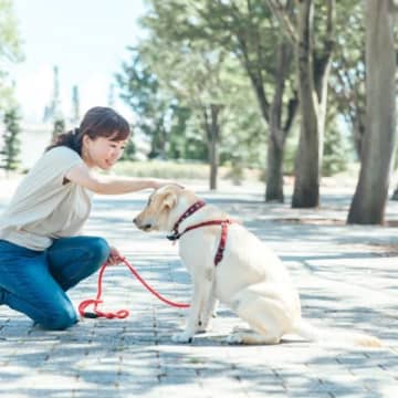 犬が飼い主から『褒められた』ときに思うこと5選　嬉しいと感じている？上手なしつけ方法までご紹介