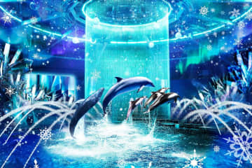 マクセル アクアパーク品川の冬イベント、イルカショーで“雪と氷”舞うプロジェクションマッピング