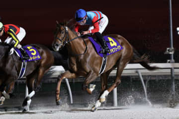 【全日本2歳優駿】JBC2歳優駿Vのタマモフリージアは1枠1番