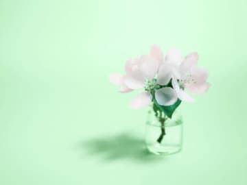 12月17日（水）今日はよい結果を得られるチャンス日！ゼッタイやってほしいのはコレ♪