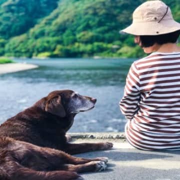 犬の『高齢化を遅らせる』ためにできること3つ　シニア期を迎えた愛犬がみせる行動まで
