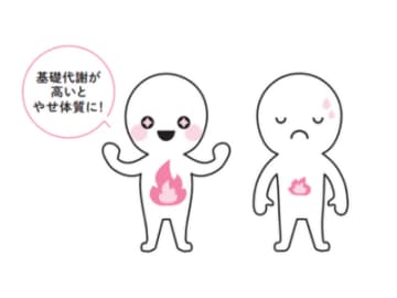 座ってても脂肪が燃える!? エネルギー消費の主役「基礎代謝」とは？【新脂肪肝 代謝復活ダイエット】