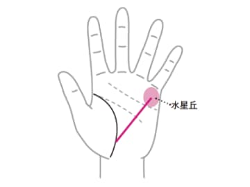 経験を積んできた分野で独立起業して成功を収める人が持つ『起業線』とは！？【手相の教科書】