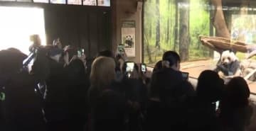 日本に貸与中のパンダが間もなく帰国、別れを惜しむファンが行列