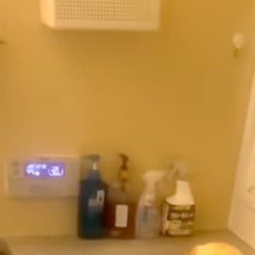 『愛犬が行方不明に』家中探し回った結果→衝撃的すぎる『まさかの光景』が18万再生「美意識高め犬ｗ」「なんですか？みたいな顔で草」