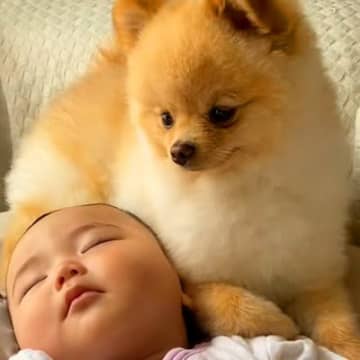 赤ちゃんが生まれた時から一緒にいる犬→大きくなったら…あまりにも尊い『成長記録』が19万再生「どちらも気になる存在」「仲良しさん」