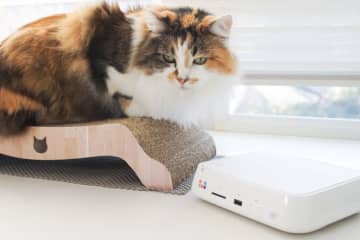 家族やペットの写真を大画面で楽しむ！ バッファロー「おもいでばこ」にSDカードやHDDから直接転送する