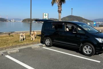 「車中泊」ペットOK多数の「RVパーク」　大型犬2匹連れ旅ライターが厳選「何度も行きたいスポット」3選！