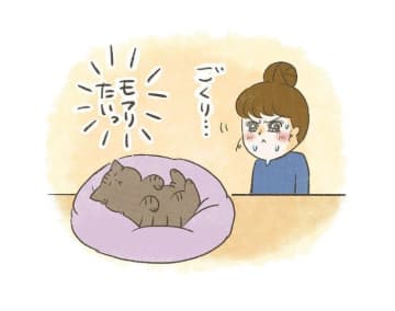 モフったら時間ぜんぶ溶けるのに…我慢できない“猫吸引”現象【連載】交通事故にあった猫を拾いました#237