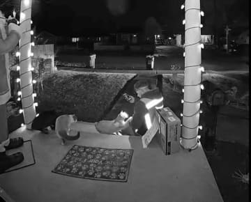 「上司に見せてあげたい」忙しい配達員さん、玄関先でみせる“ある行動”に称賛の声「やさしさが伝わる」