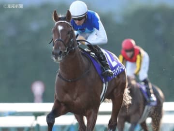 【朝日杯フューチュリティS】①人気は複勝率80％のハイアベレージ！過去10年の傾向から見る人気と配当