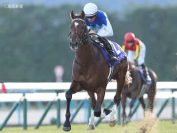 【朝日杯フューチュリティS】近年、京王杯２歳Ｓ組に替わって存在感を増しているステップとは！？ステップレースから見る過去10年の傾向