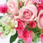 昭和女子大学　会計ファイナンス学科から第1号の公認会計士試験合格者誕生