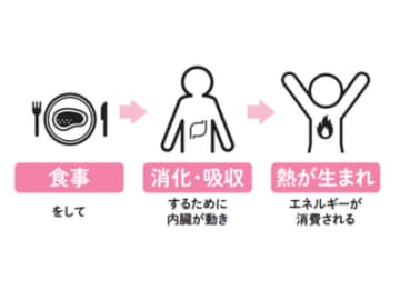 エネルギーの30%を消費する！ 代謝を上げる「食事誘発性熱産生」の最強ブースターとは【新脂肪肝 代謝復活ダイエット】