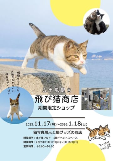 写真家 五十嵐 健太の飛び猫10周年記念　「島猫そらら写真展」を12月20日から北千住マルイにて開催