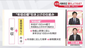 【解説】税制改正 暮らしどうなる? 「年収の壁」引き上げは?