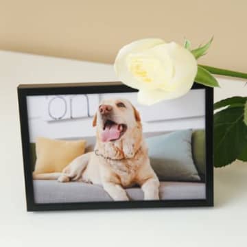 愛犬を亡くしたときに起こり得る『ペットロス』精神的に辛い理由4つ　少しでも気持ちを軽くするためにできることまで