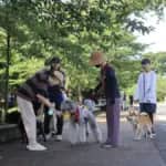 地域の人間関係と地域への所属感をイヌの飼育が増進　立教大学と麻布大学が社会調査