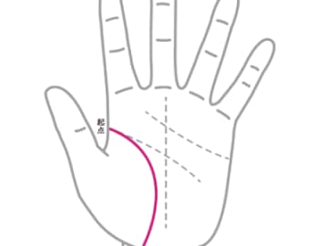 就職、独立、結婚、出産等を知ることができる生命線の見方とは！？【手相の教科書】