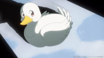 アヒルに変身してしまったあかね（CV：日髙のり子）の姿が戻らない！？　アニメ『らんま1/2』第24話あらすじ