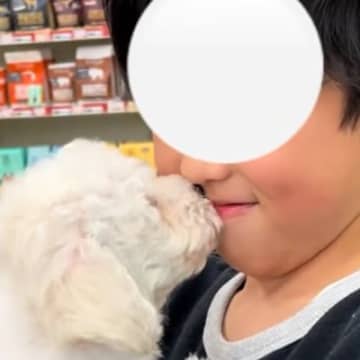 体調を崩し、小学校に行けなくなった10歳の男の子→犬を飼い始めた結果…『涙あふれる展開』に感動の声「最高の出会い」「大切な家族」