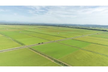 「米を作るな」“弾圧”で死を選んだ農家も…令和の米騒動に続く、減反政策が招いた悲劇の過去