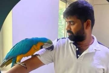 インドでオウムを救おうとした飼い主が感電死　６万６０００ボルトが体を通電