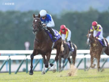 【朝日杯フューチュリティS】前走の距離は不問！注視すべきポイントは？新馬・未勝利組で見る攻略POINT