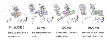 働く酵素の姿をミリ秒で捉える