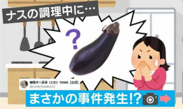 大惨事！グリルでナスが大爆発 まさかの姿に驚きの声「エイリアンだ…」