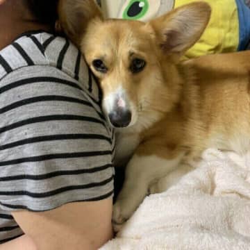 犬が大好きな人にだけ見せる特別なしぐさとは？　気持ちを受け止めるポイントとは