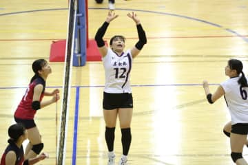 姫路　東京女体大の二宮みずきの加入を発表