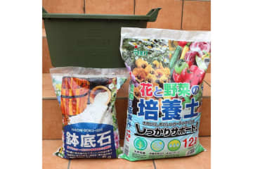 【最大15％OFF】庭やベランダを色鮮やかに♪ゆうゆうtime編集部おすすめ花苗・園芸資材セット・ガーデニングバスケットもAmazonタイムセールで！