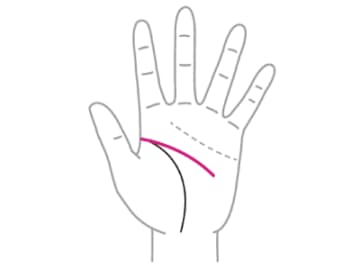 「着実な人生」か「開拓精神溢れる毎日」か… 知能線の起点の位置でわかる4つのタイプとは！？【手相の教科書】