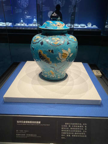 北京で明代沈没船引き揚げ文化財の特別展