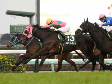 【ターコイズＳ】無理な絞り込みは勝ちを逃す！ 過去10年の傾向から見えてくる3連単を的中させる戦術とは