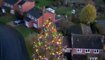 「夫が愛した光景…」46年前に植えた木が15メートルに→地元のシンボルとなったクリスマスツリーが話題