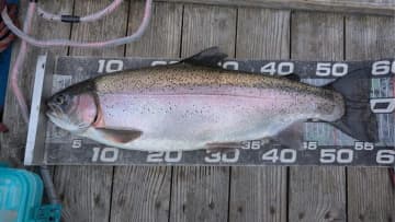 バスを狙っていたらまさかの自己記録フィッシュ!?　榛名湖でこんなサイズが…。【大津清彰のバス釣り真相解明】