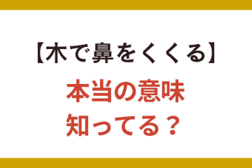 【木で鼻をくくる】の正しい意味、知ってる？「くくる」は縛る!?【クイズ】