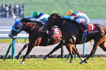 【朝日杯FS】アドマイヤクワッズは474kg…出走馬の調教後における馬体重